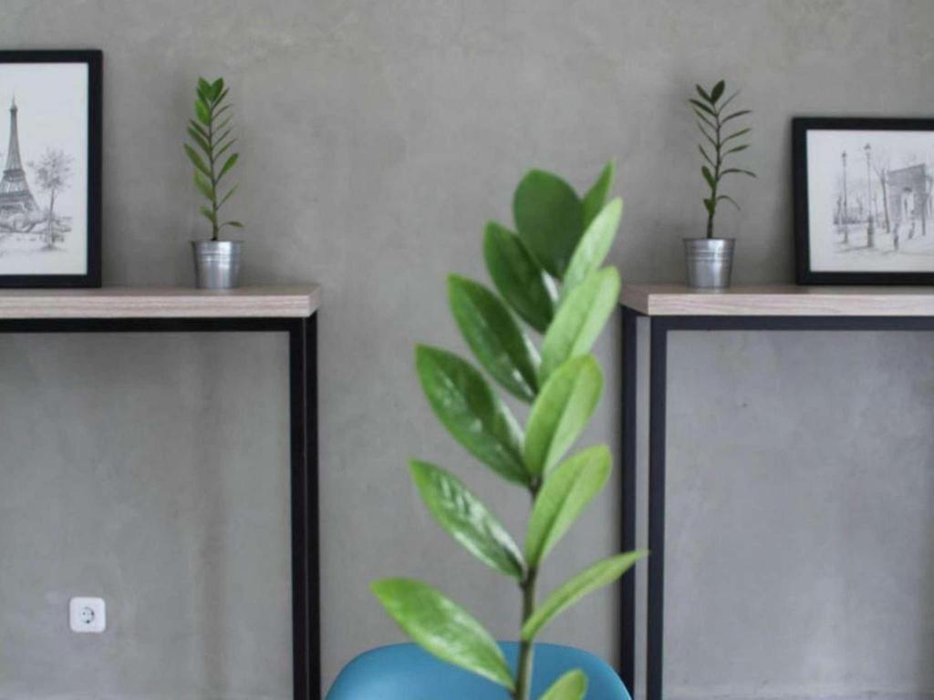 Casa Living Setiabudi Τζακάρτα Εξωτερικό φωτογραφία